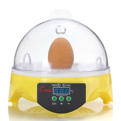 Chicken Supplies