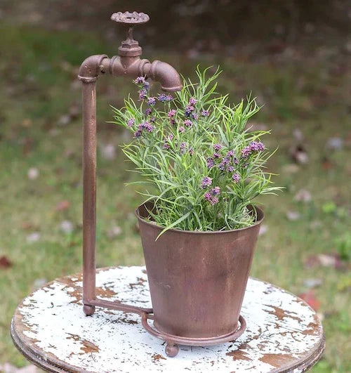 Pots & Planters