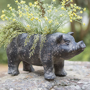 Pig Outdoor & Garden