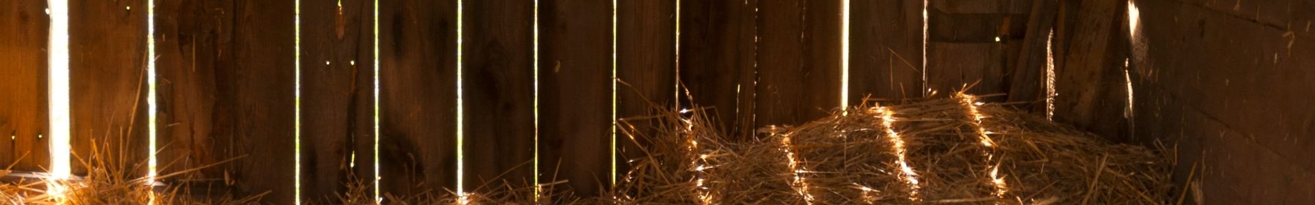 Barn • abilia