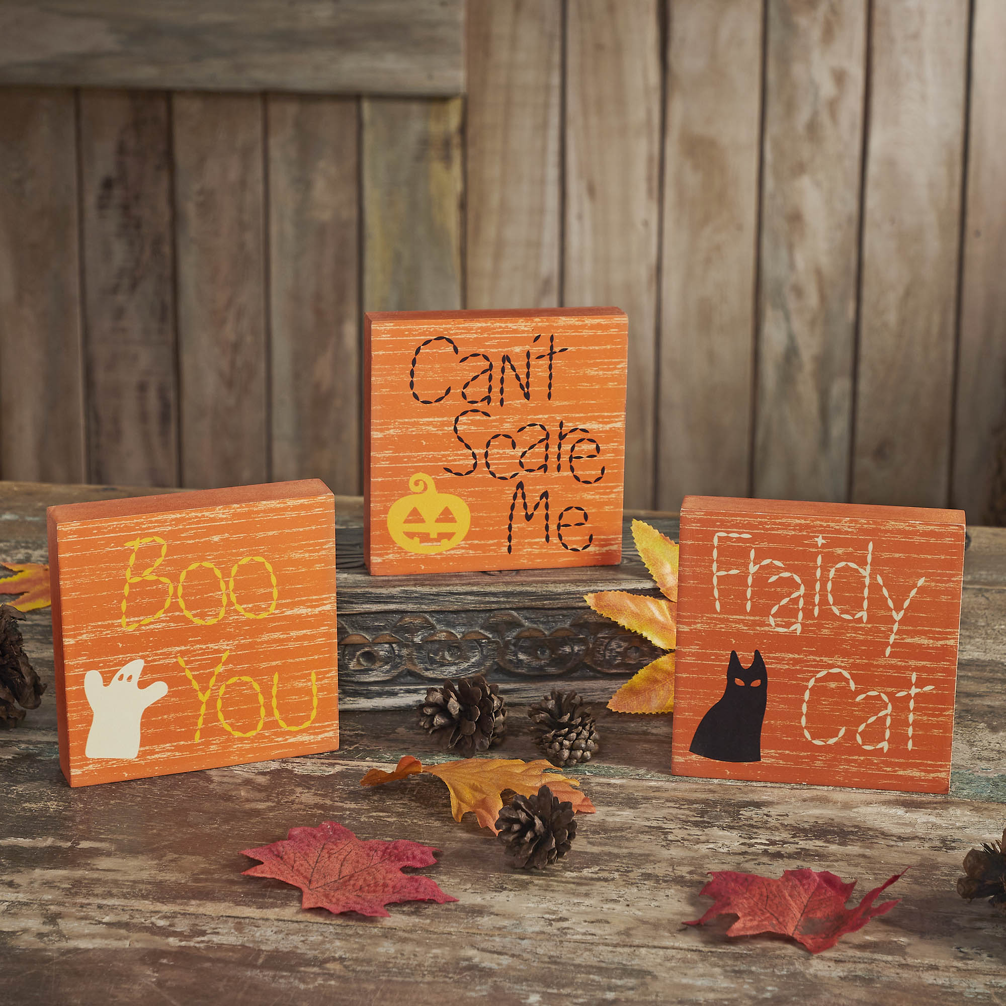 Boo You Can't Scare Me Fraidy Cat Blocks Set of 3 5x5x1