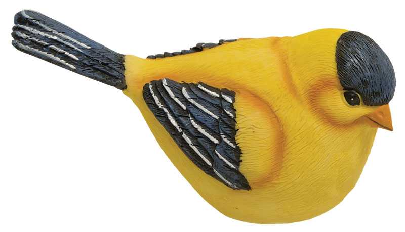 Gold Finch  (4 Count Assortment)