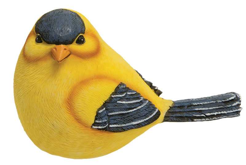 Gold Finch  (4 Count Assortment)