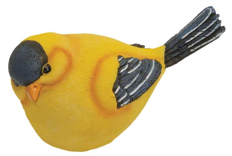 Gold Finch  (4 Count Assortment)