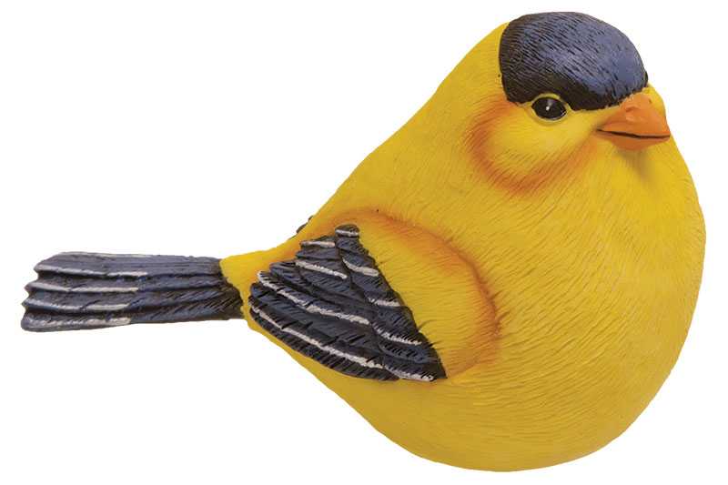 Gold Finch  (4 Count Assortment)