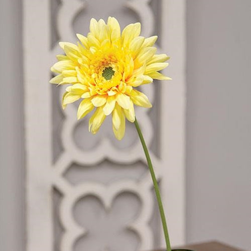 Blooming Daisy Stem - Dark Yellow