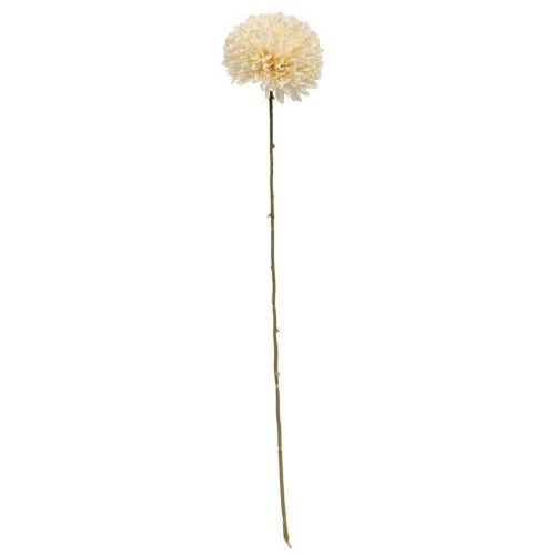 Cream Pompom Spray