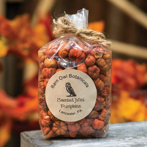Scented Mini Pumpkins - 3 Cups