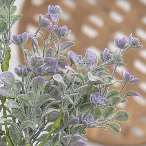 Dusk Lavender Buds Bush - 12"