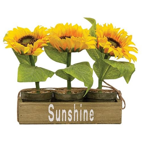 Potted Sunflowers in Wooden Crate (Set of 3)