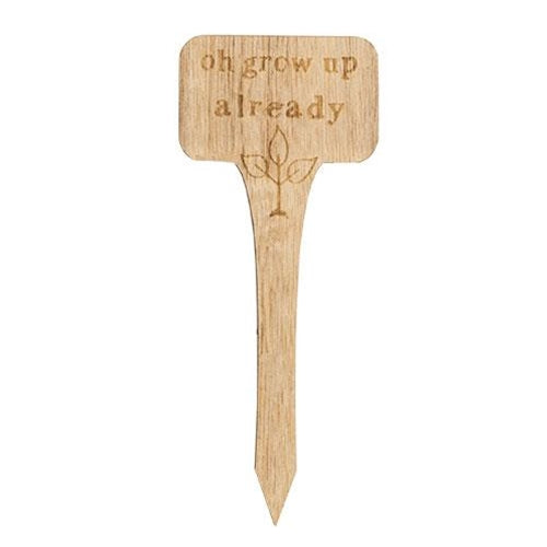 Pay Attention to Me House Plant Poke  (4 Count Assortment)