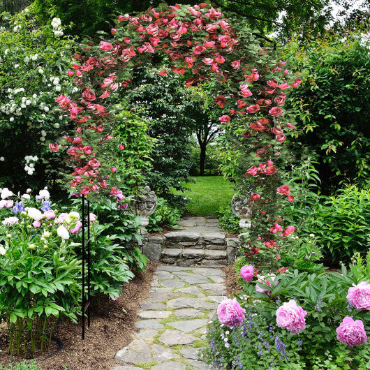 Garden Arch Arbor Trellis with Gate Patio Plant Stand Archway-Black - Color: Black