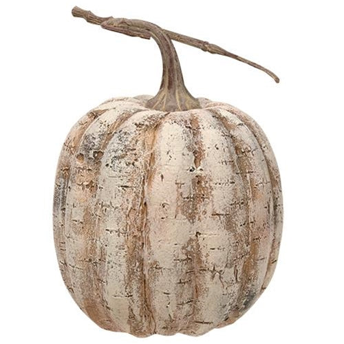 White Birch Pumpkin - 8"